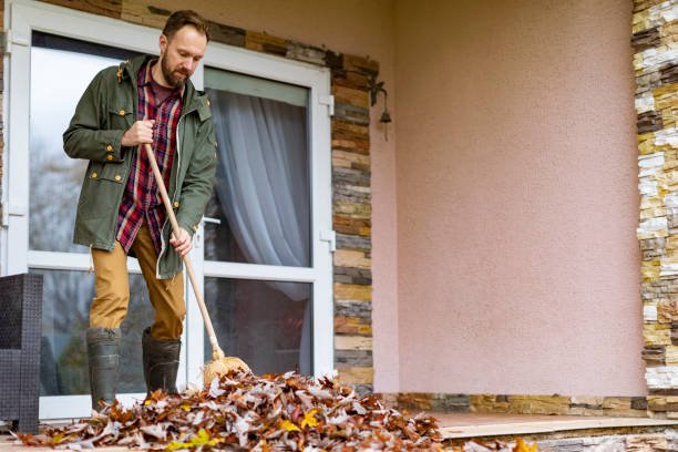 Attic Cleanout Services in Michigan Center, MI